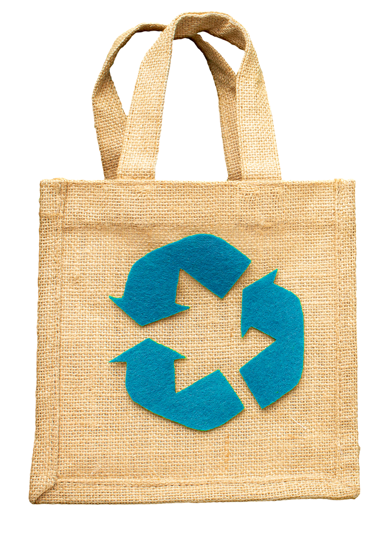 Bolsa ecológica
