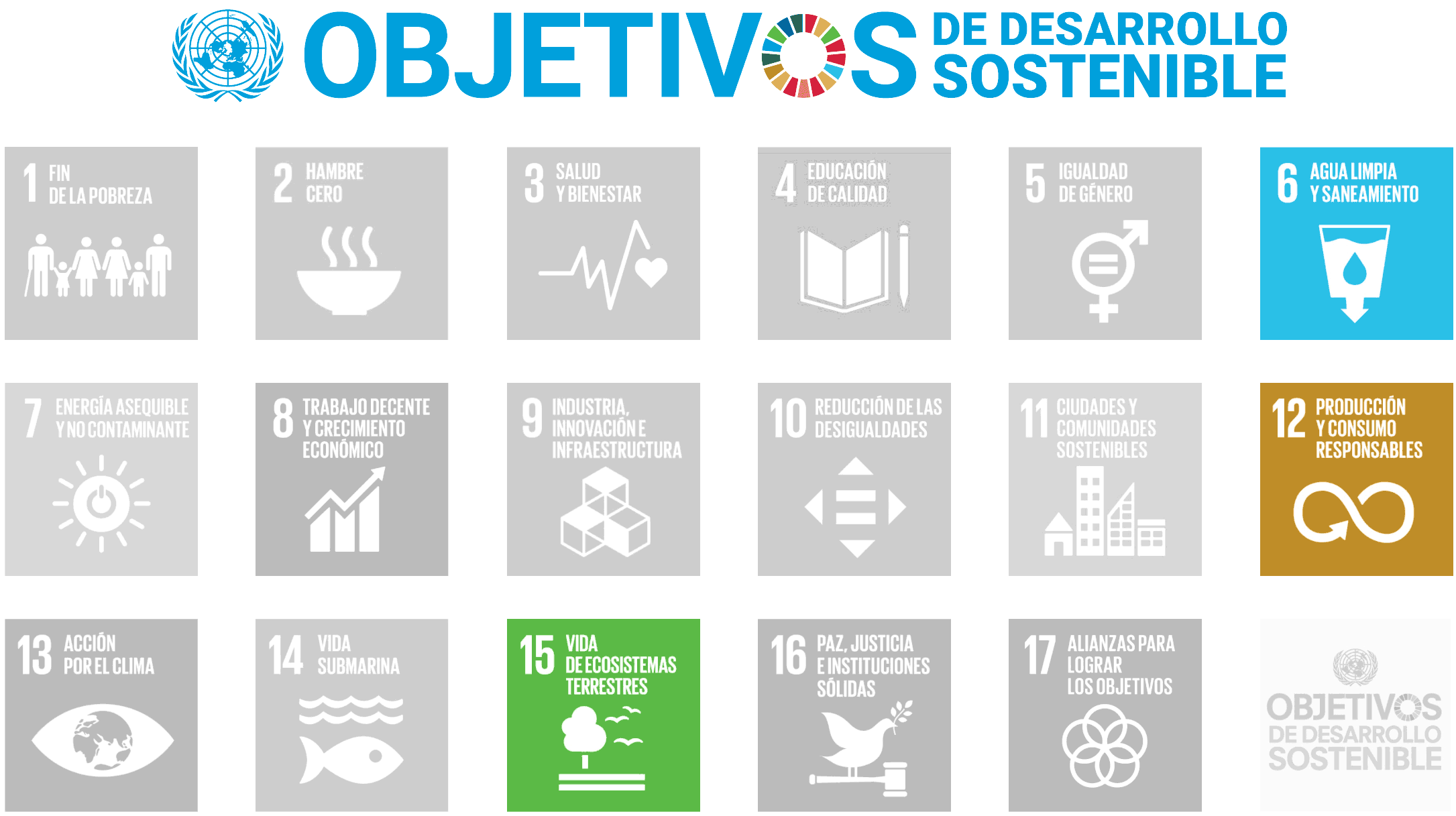 Objetivos de Desarrollo Sostenible de la Agenda 2030